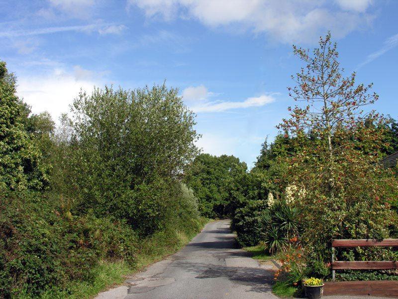 Abacus Bed And Breakfast, Blackwater, Hampshire Camberley Buitenkant foto